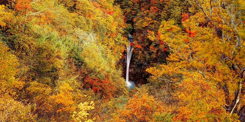 紅葉名所 駒止の滝