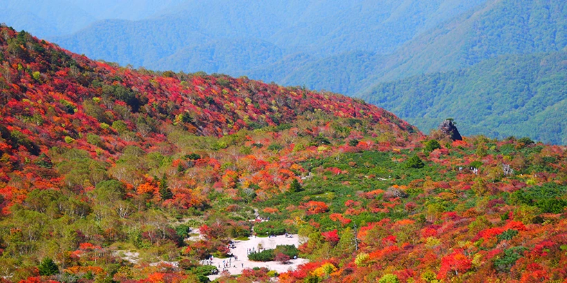 紅葉名所 茶臼岳