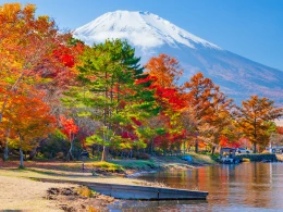 山梨県 山中湖
