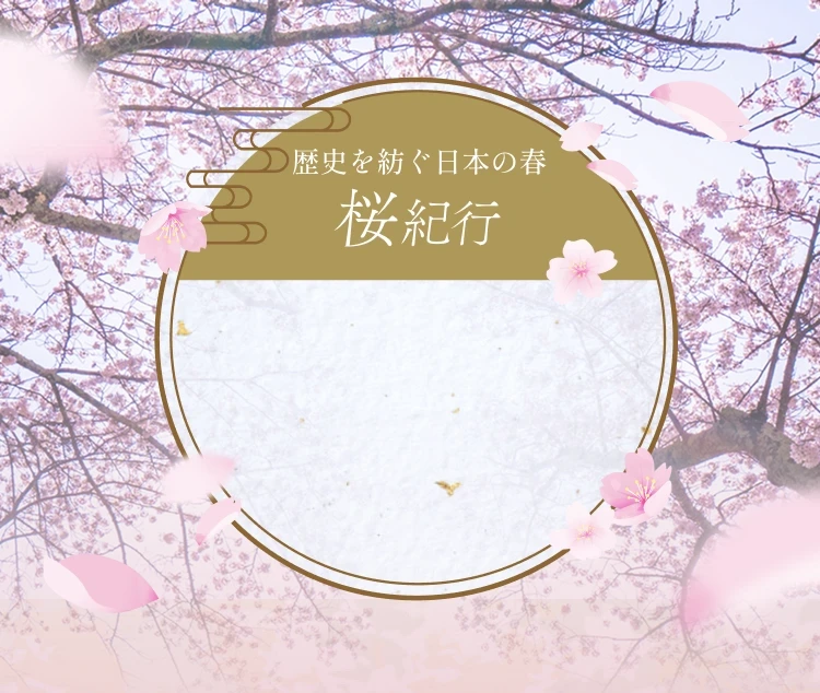 歴史を紡ぐ日本の春　桜紀行 静岡県　修善寺