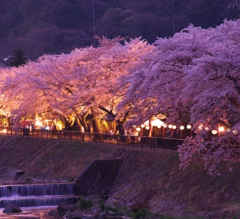 神奈川・箱根強羅