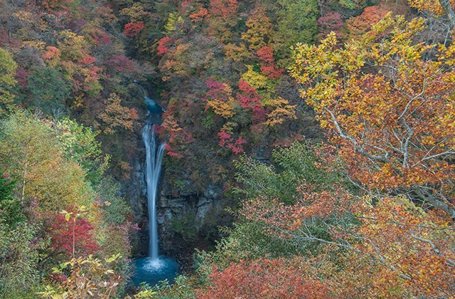 「那須平成の森」内ふれあいの森ハイキングと那須紅葉登山