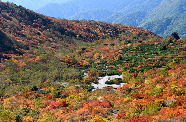 姥が平の紅葉イメージ