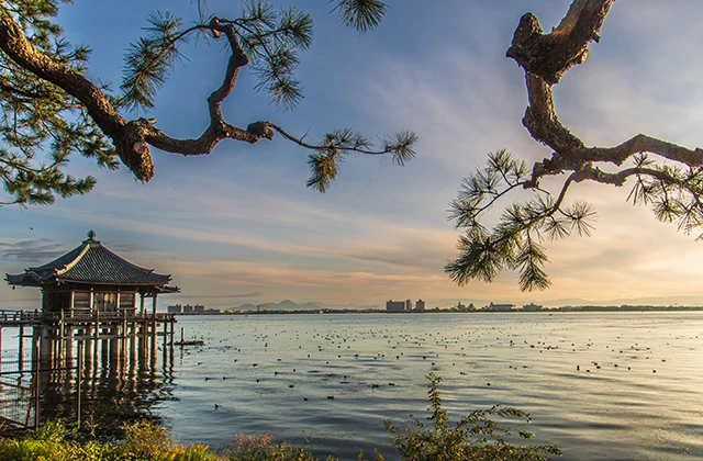 琵琶湖大橋を越えて堅田歴史ウォーク&琵琶湖を望む絶景稜線ハイキング(健脚向き)