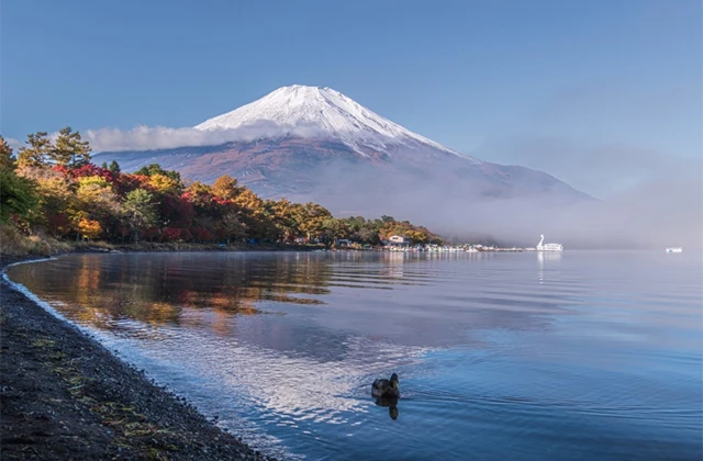 11月初旬の山中湖紅葉