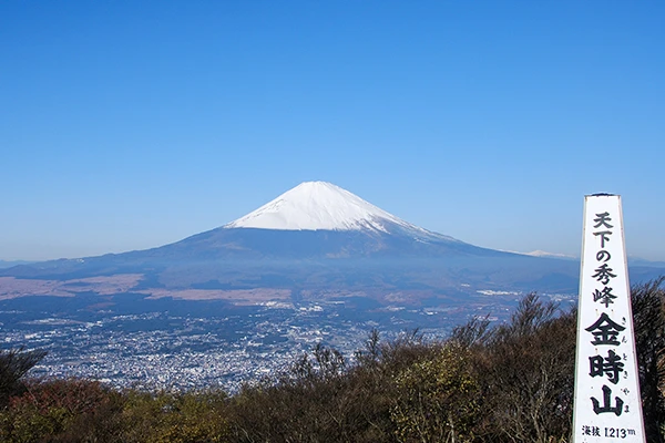 金時山から富士山