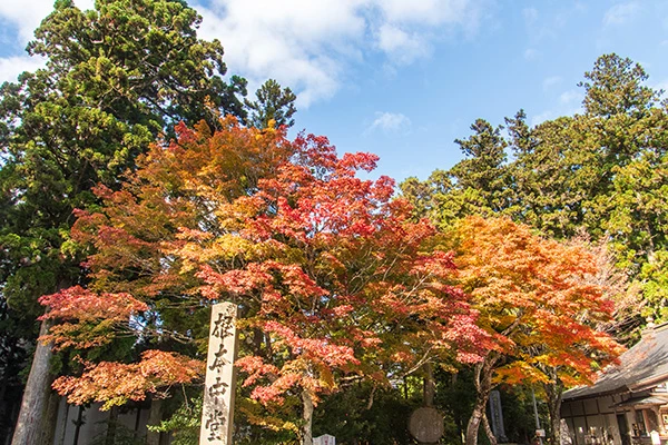 比叡山延暦寺