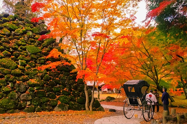 懐古園