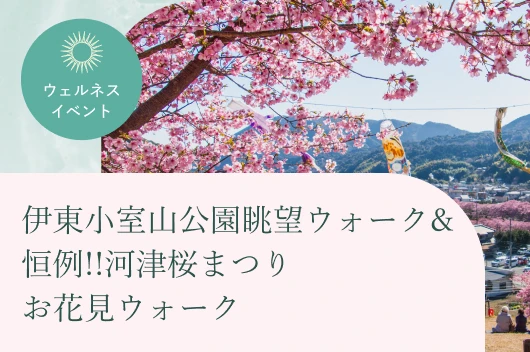 伊東小室山公園眺望ウォーク&恒例!!河津桜まつり お花見ウォーク