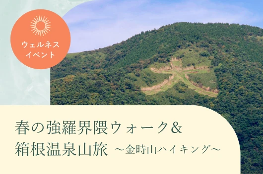 春の強羅界隈ウォーク&箱根温泉山旅～金時山ハイキング～